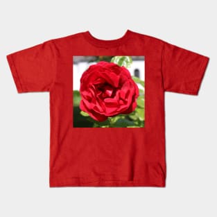 Red Rose Photo Kids T-Shirt